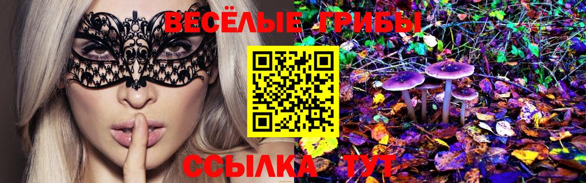 Псилоцибиновые грибы мицелий  закладка  Обнинск  Вход с VPN  Псилоцибиновые грибы Psilocybine cubensis 